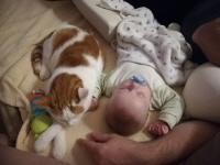 Kind und Katze